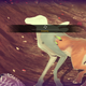 Illustration for article titled First day of No Mans Sky in screenshots (on PC)